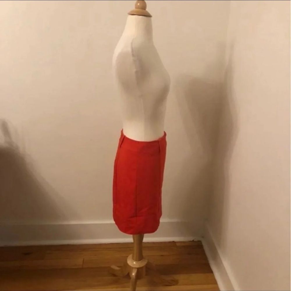 Express Mini Skirt - Picture 2 of 3